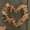 🍁