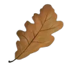 🍂