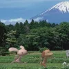 🪴