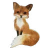 🦊