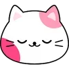 🐱