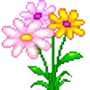 💐