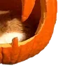 🎃