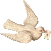 🕊
