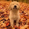 🥰