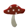 🌟
