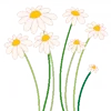 🌸