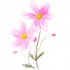 🌸