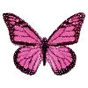 🦋