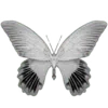 🦋