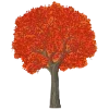 🌳