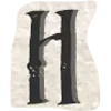 📜