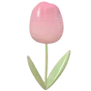 🌷