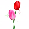 🌷
