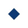🔹