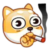 🚬