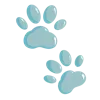 🐾