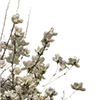 💐