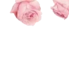 🤩