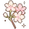 🌺