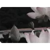 🤩