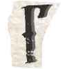📜