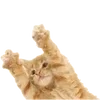 🐈