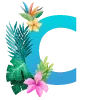 🔠