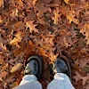🍂
