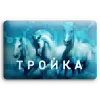 🐎