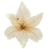 🌼