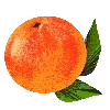 🍊