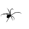 🕷️
