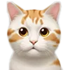 🐱