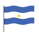 🇸🇻