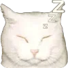 💤