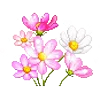 💐