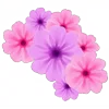 🌸