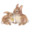 🐰
