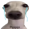 🐕