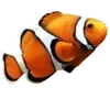 🐠