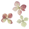 💮