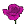 🌹