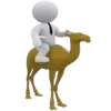 🐫