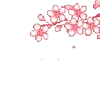 🌸