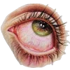 👀