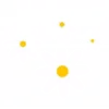 🌸