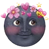 🌚