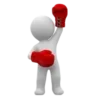 🥊