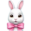 🐇